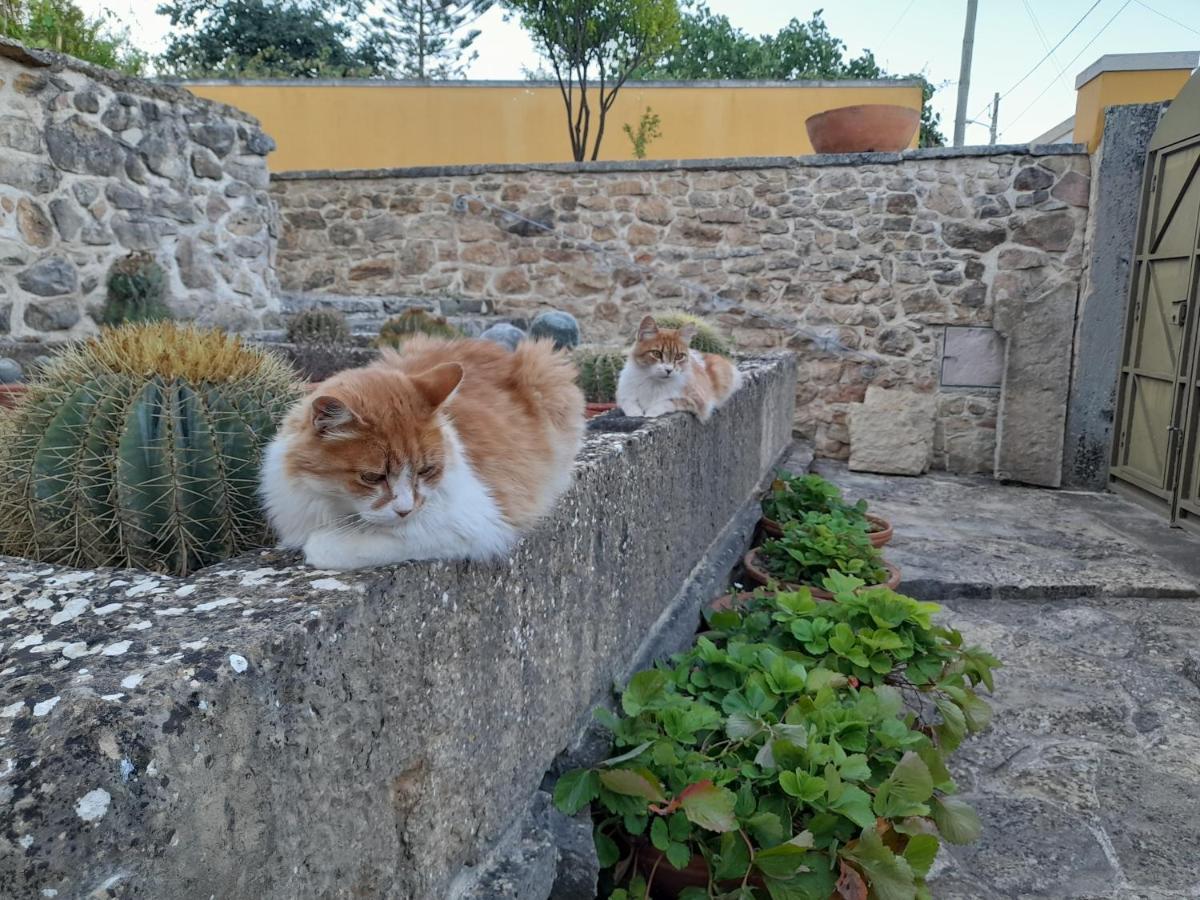 Apartmán Casarao Do Largo Da Eira Tomar Exteriér fotografie