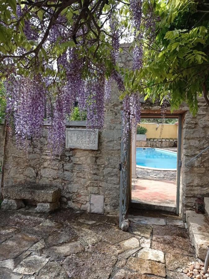 Apartmán Casarao Do Largo Da Eira Tomar Exteriér fotografie