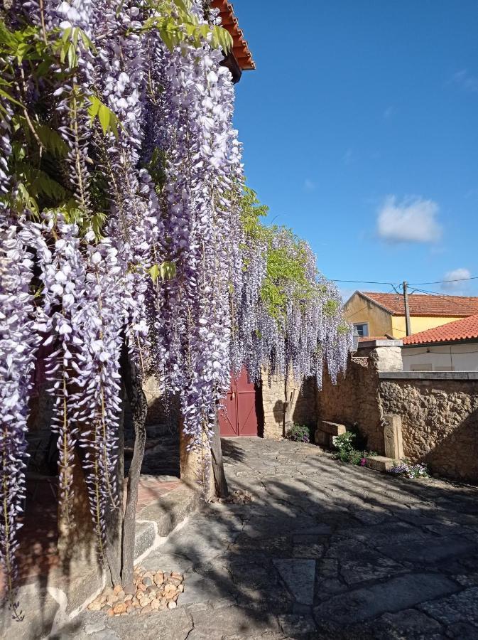 Apartmán Casarao Do Largo Da Eira Tomar Exteriér fotografie